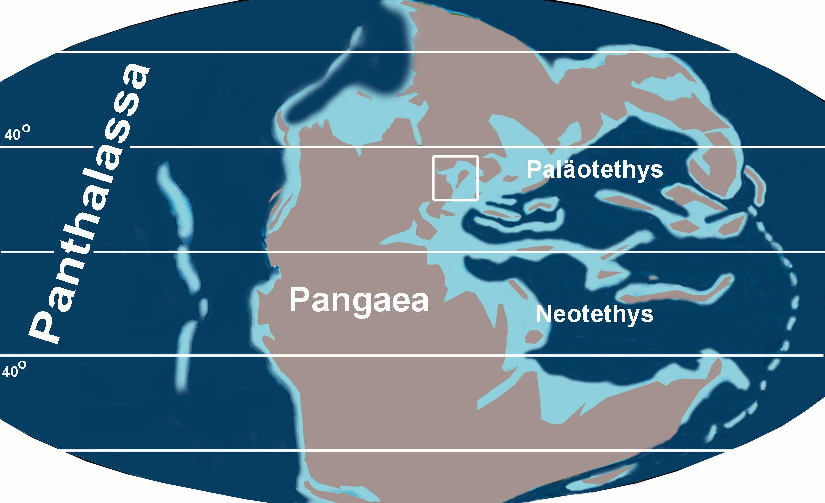 Grafik einer Karte des Urzeitkontinents Pangaea