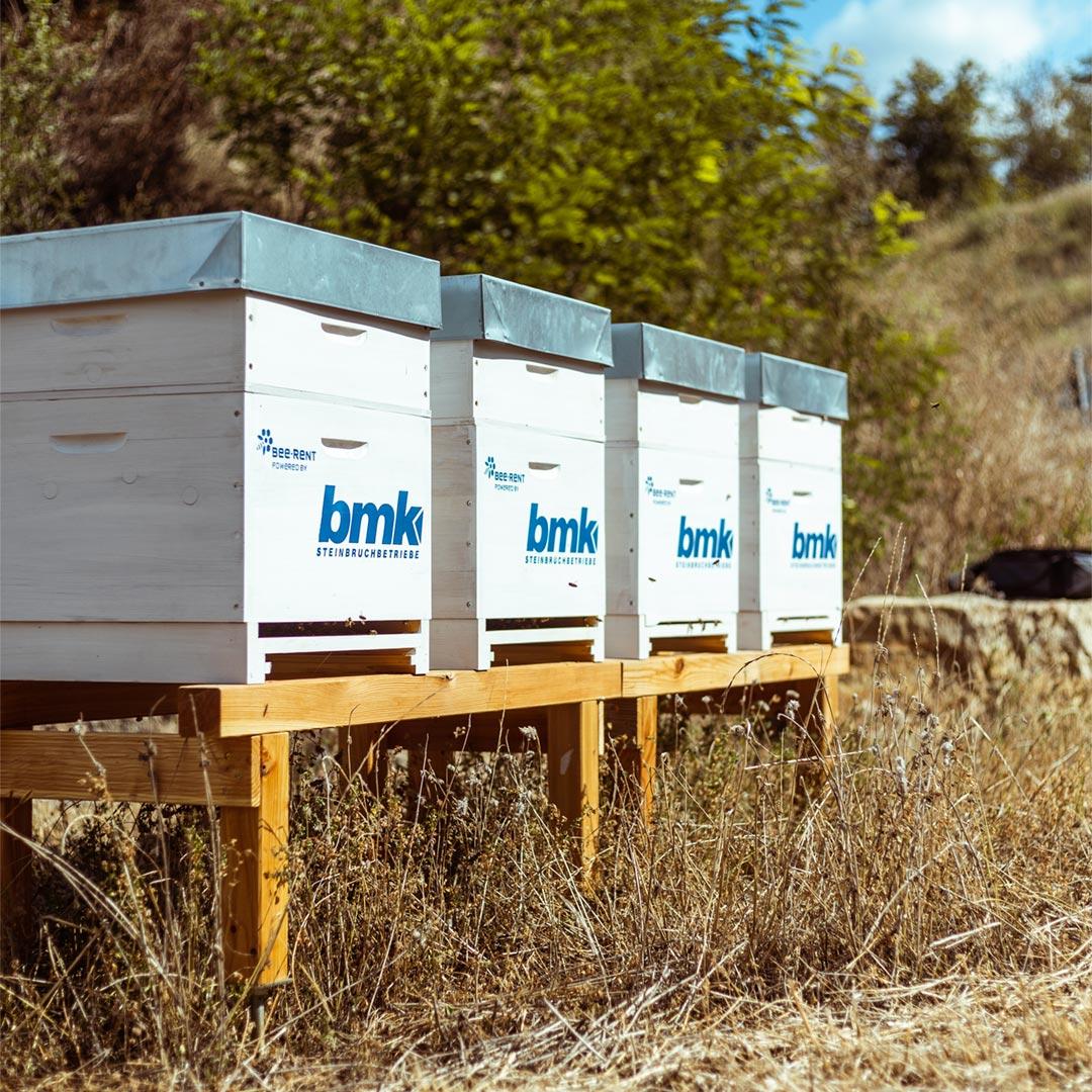 Vier Bienenstöcke mit bmk Logo